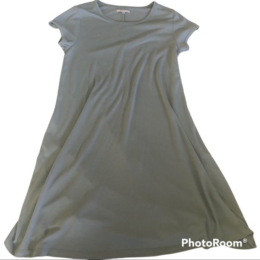 Z supply sage light blue short sleeve mini swing dress
